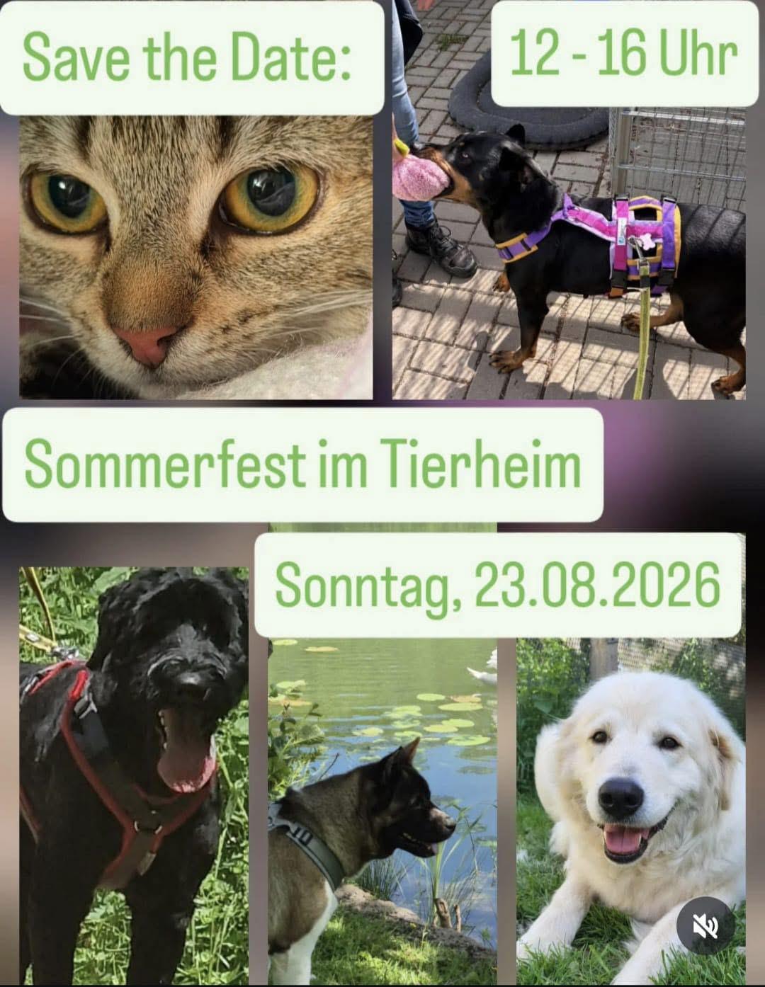 Sommerfest am 23.08.2026